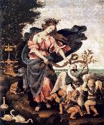 LIPPI, Filippino Allegory of Music or Erato sg Spain oil painting reproduction